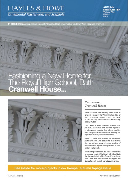 2013 issue 2 newsletter 500x700 1